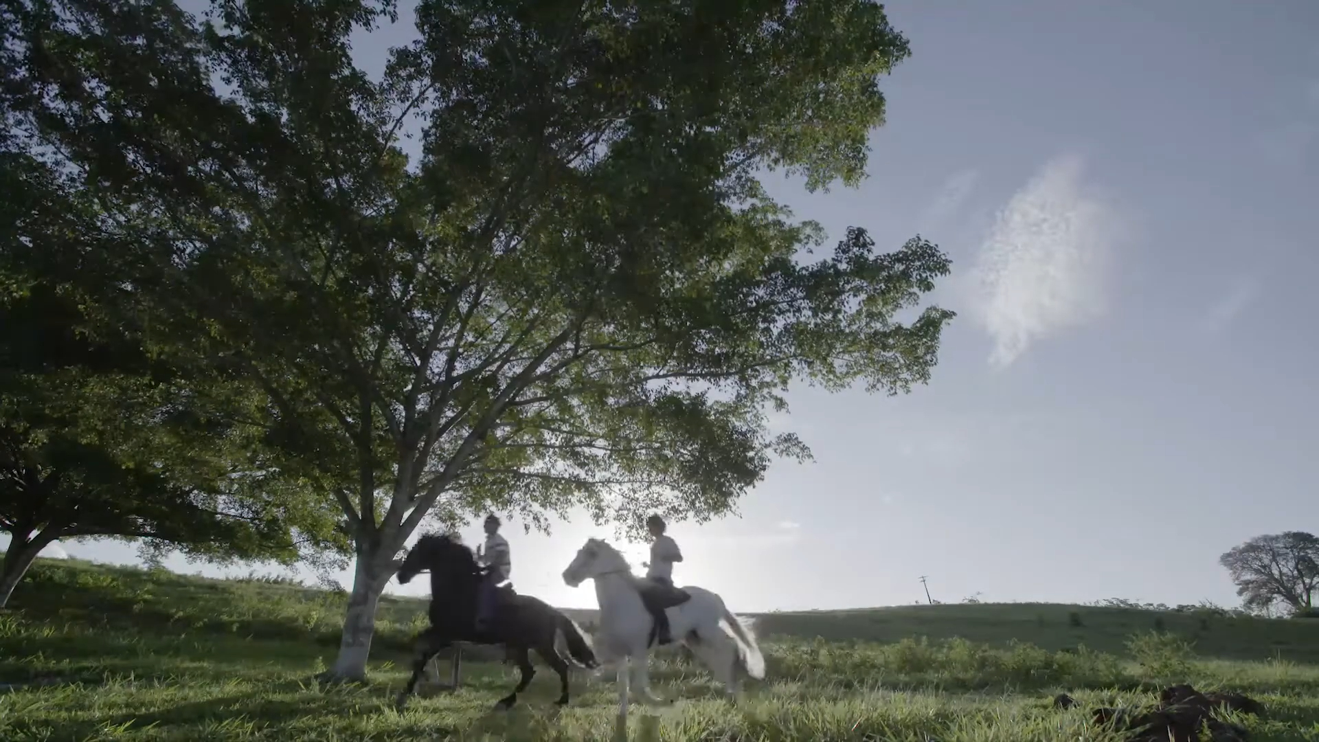 Galeria - Reserva Boa Luz e Reserva dos Lagos-4