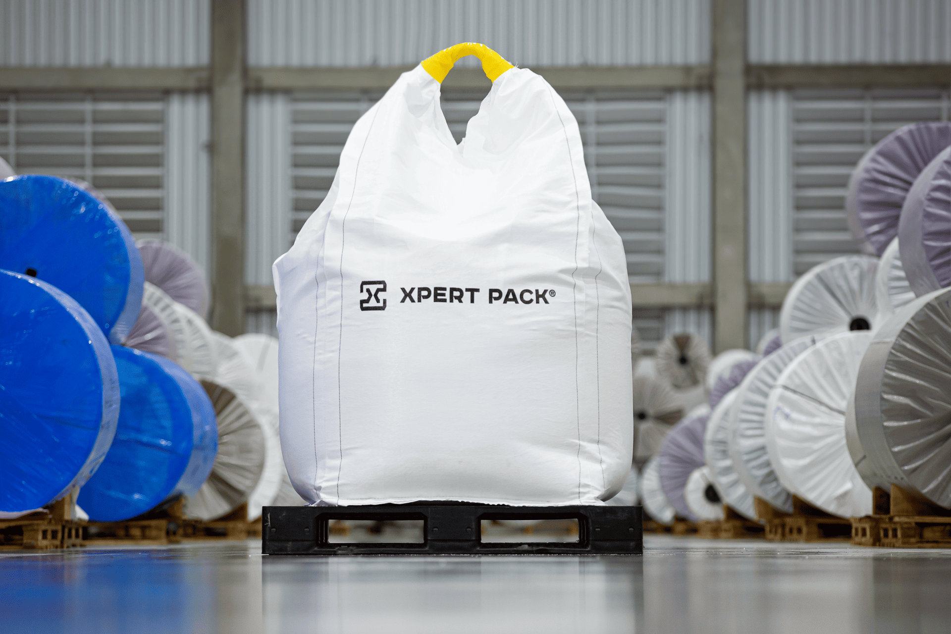 Galeria - Xpert Pack - 5